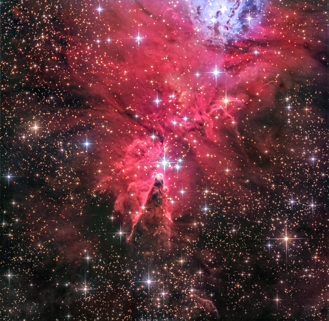 NGC 2264